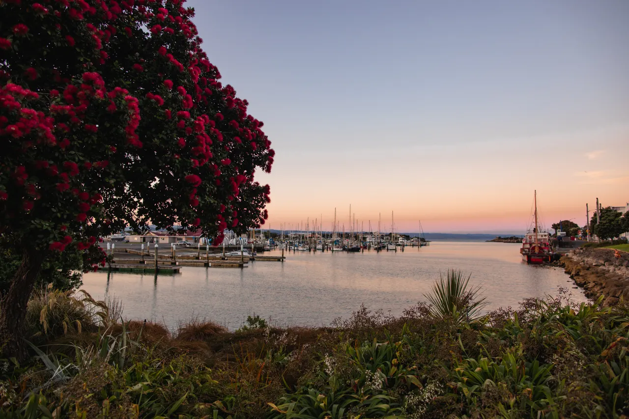 Ahuriri Marina at Sunset