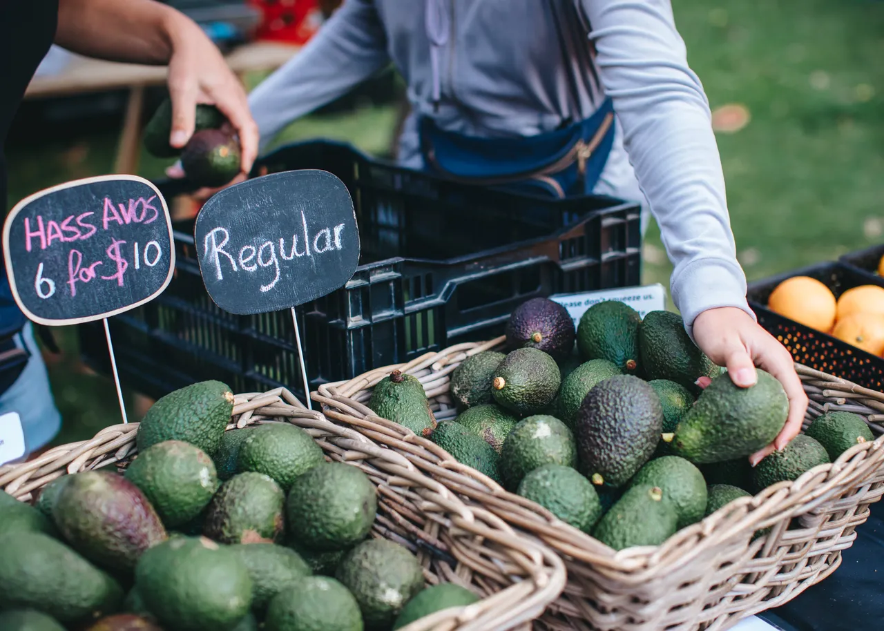 Avocados at the Hawke's Bay Farmers' Market