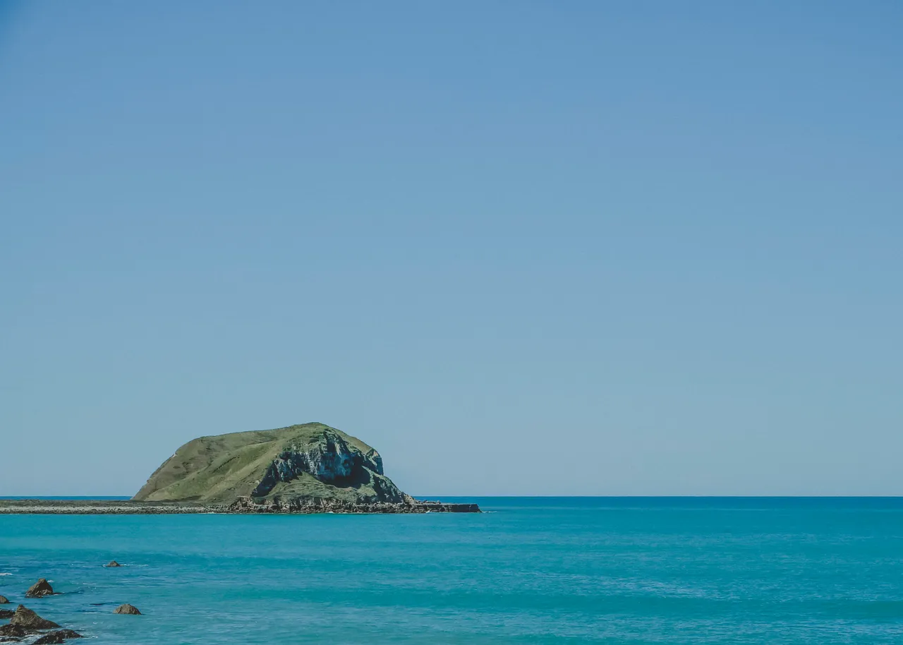 Summer Tongoio Beach