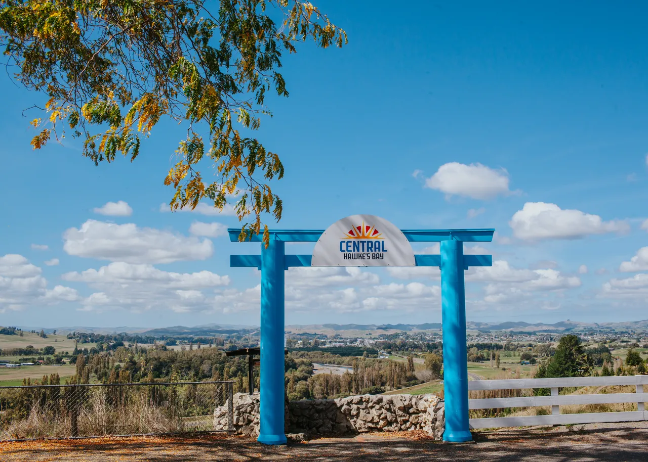 Pukeora Lookout