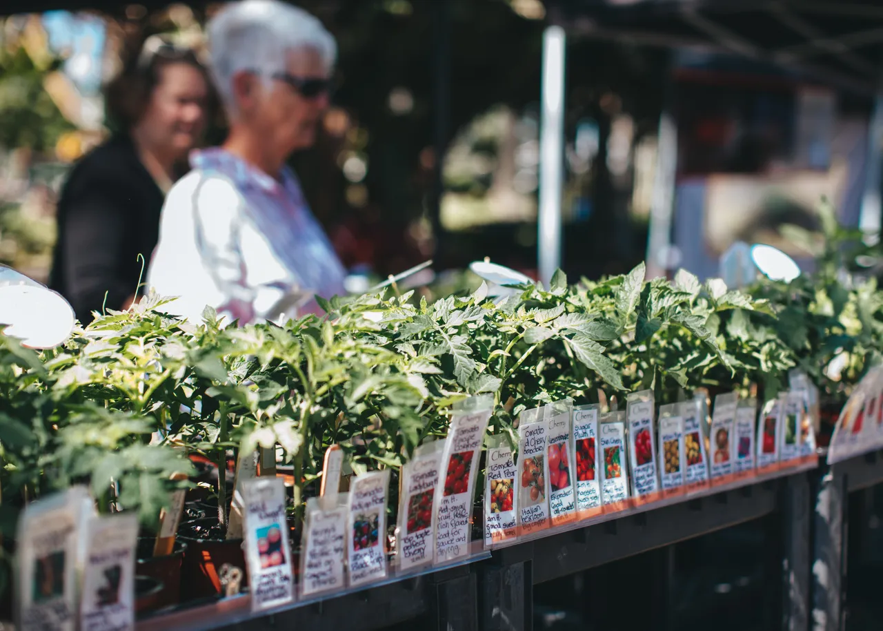 Napier Urban Farmers' Market