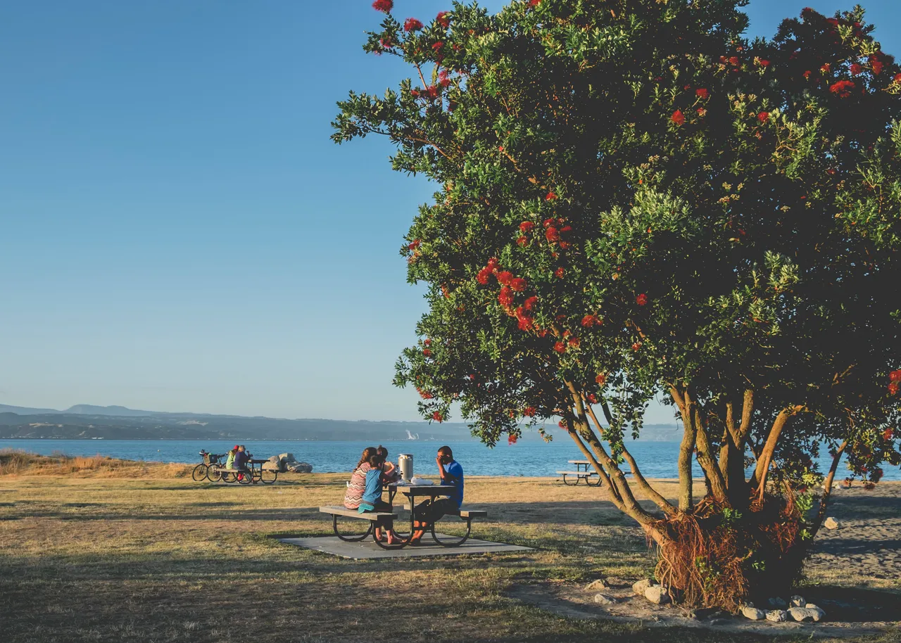 Ahuriri Beach