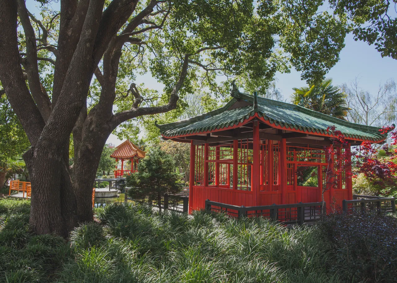 Osmanthus Garden, Hastings