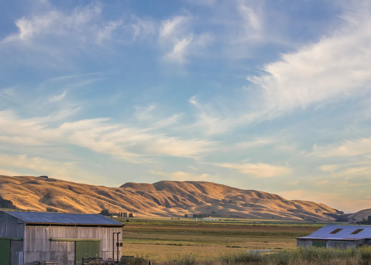 Golden Hills