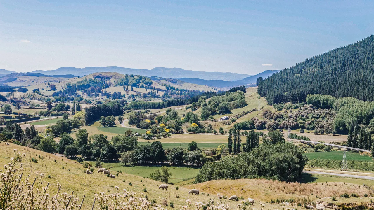 Esk Valley Farmlands