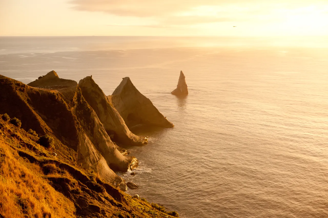 Shark Tooth at Cape Kidnappers