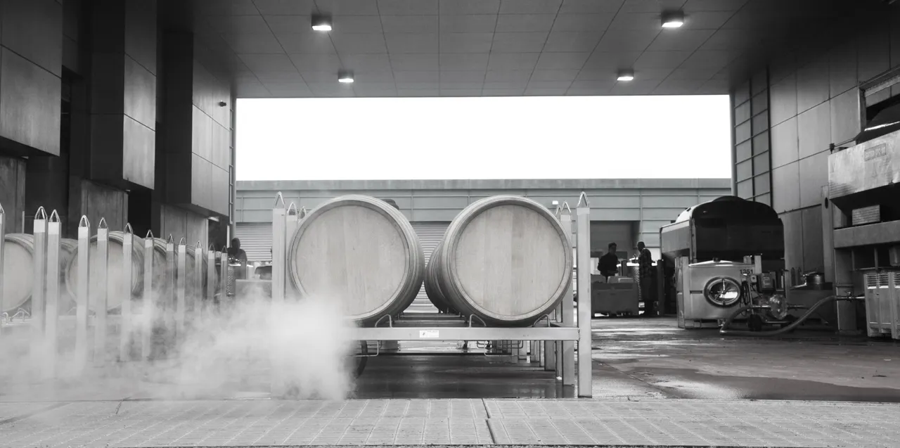 Elephant Hill Winery Action