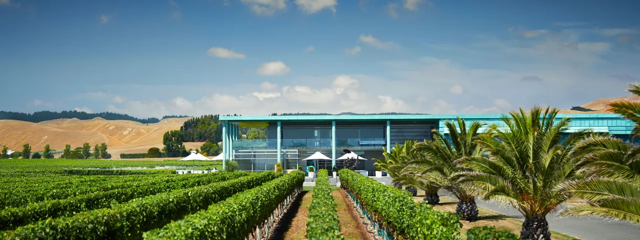 Elephant Hill Restaurant from the Vines