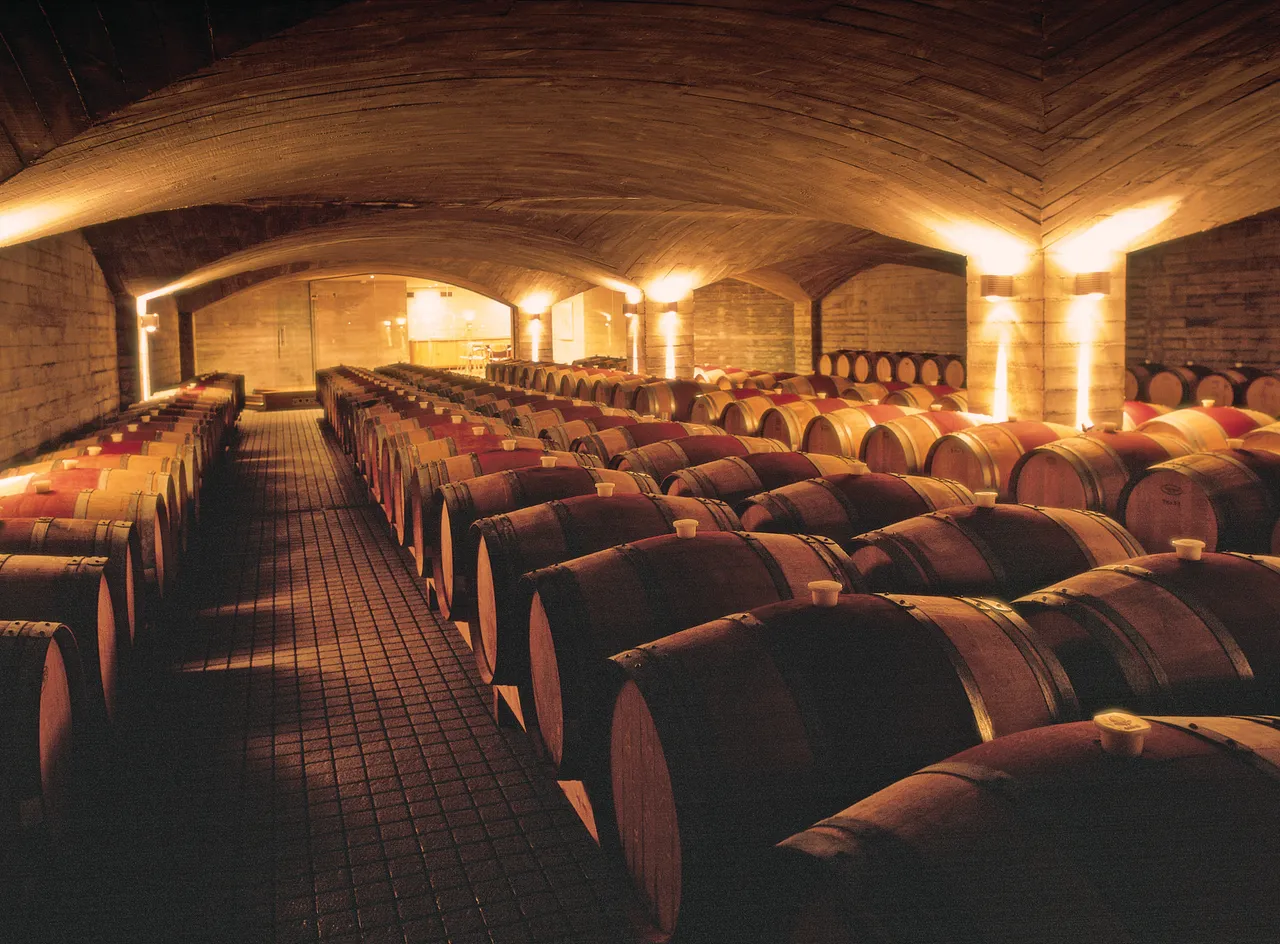 Craggy Range The Quarry Cellar
