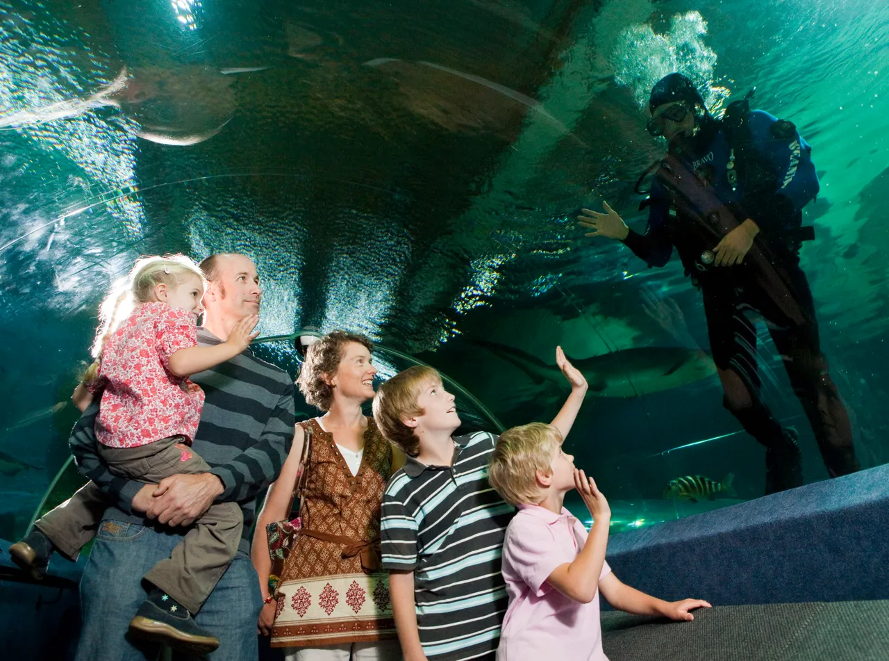 The National Aquarium Family with Diver