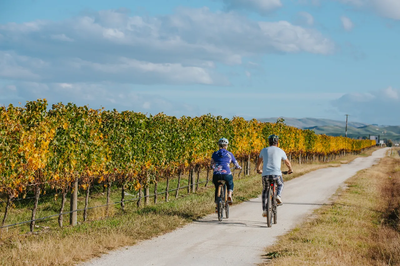 Cycling the Wineries Ride