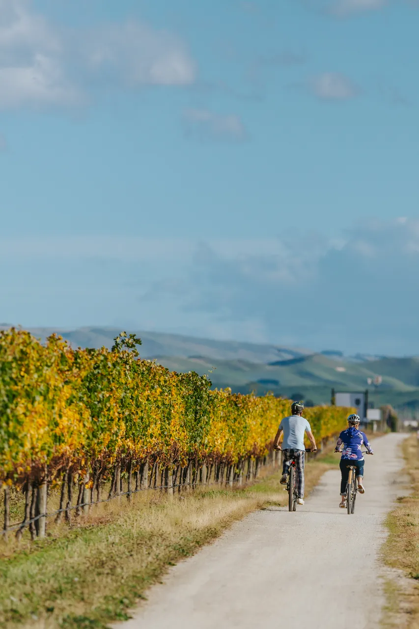 Cycling the Wineries Ride