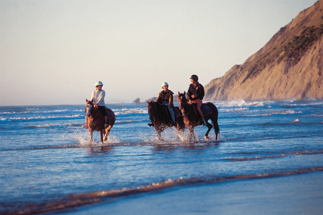 Porangahau Horse Back Riding