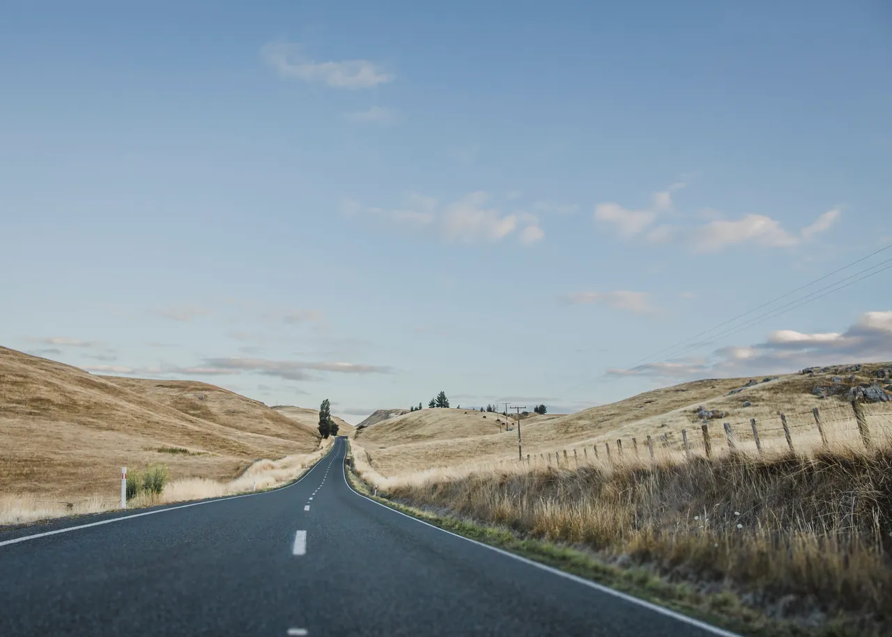 Ongaonga Road