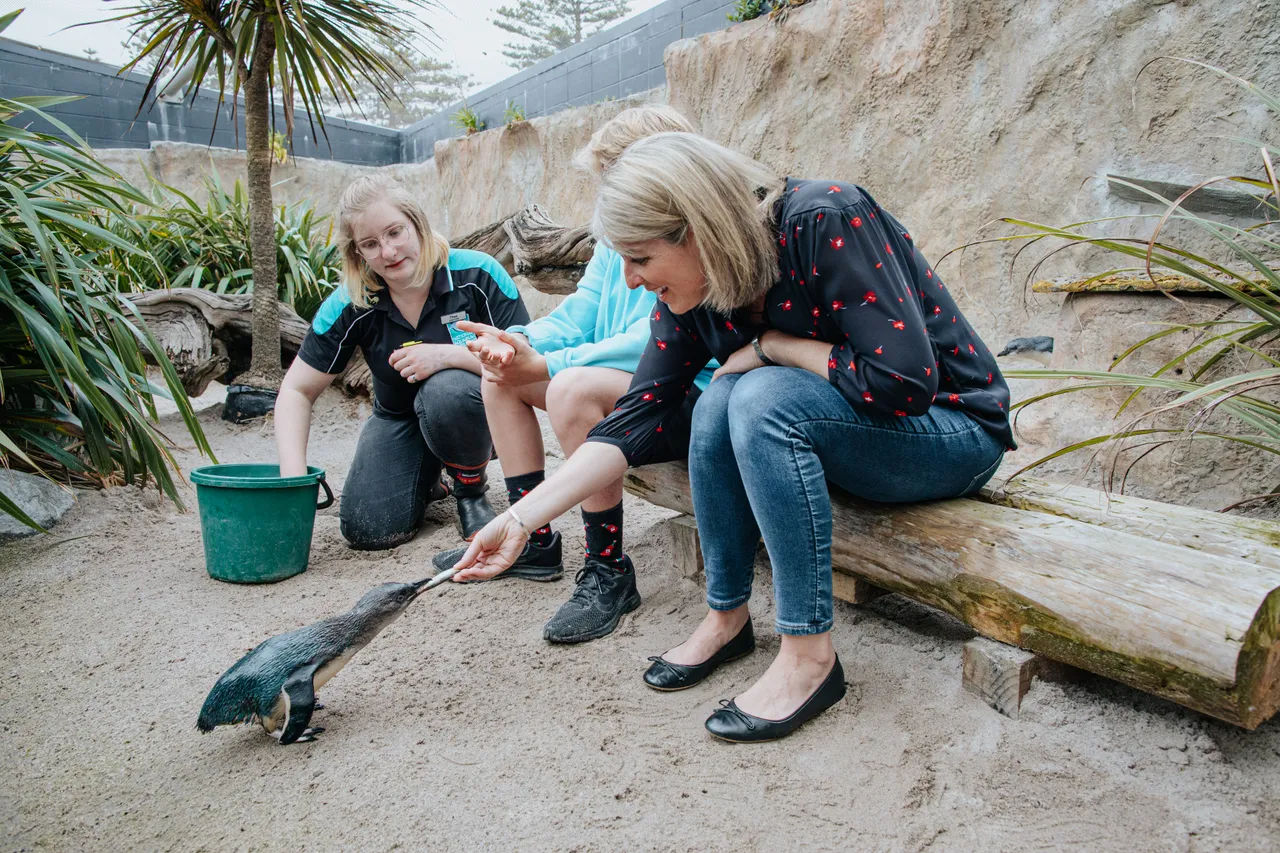 Aquarium-Website-Photos-Nov-2019-16