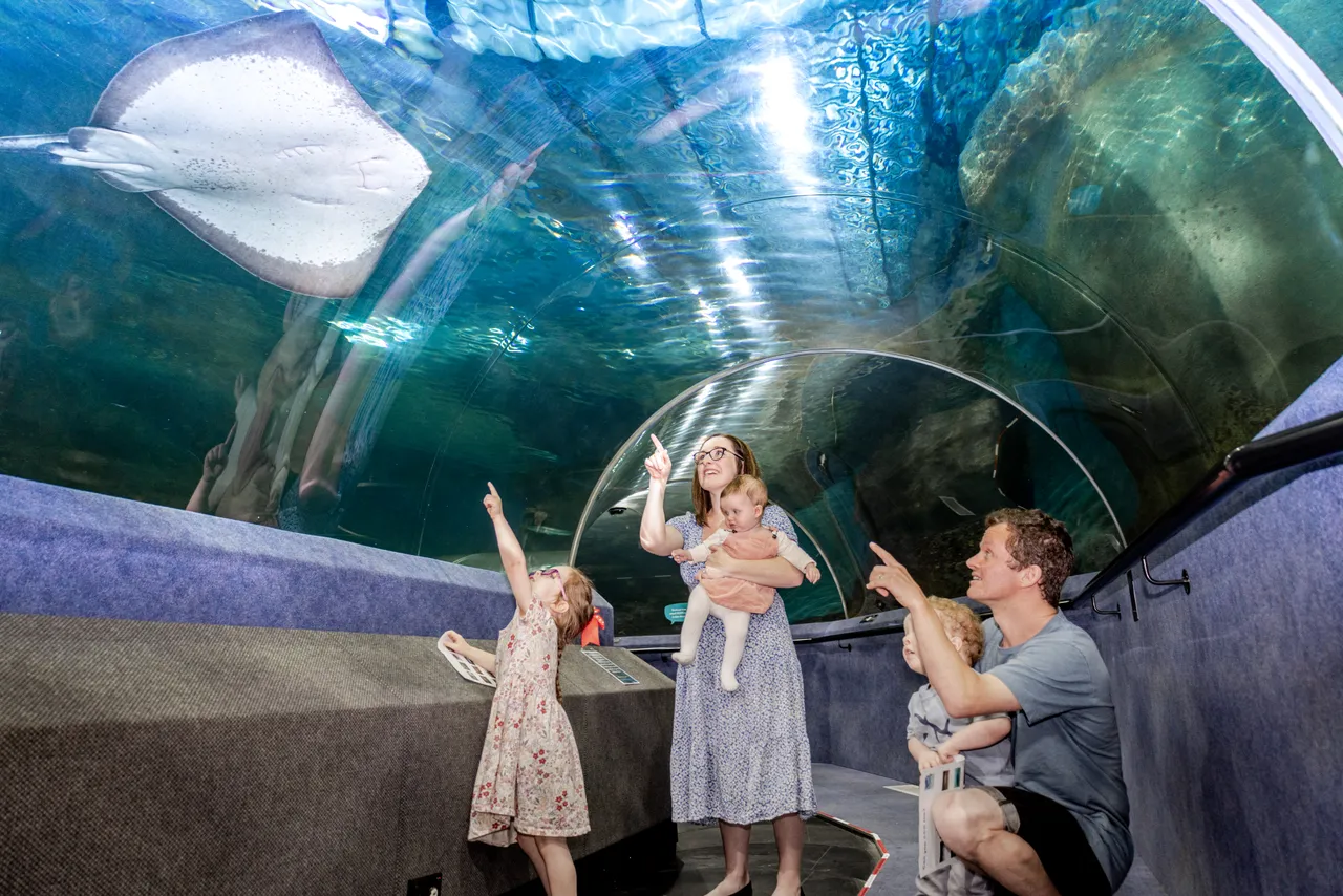 The National Aquarium of NZ-Credit Molly Rose Nilsson-HR--025