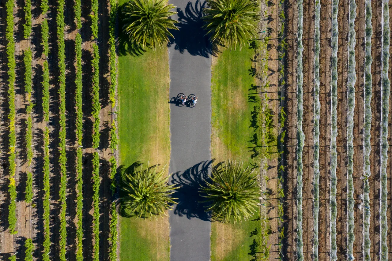 Hawke's Bay Trails - Elephant Hill winery driveway