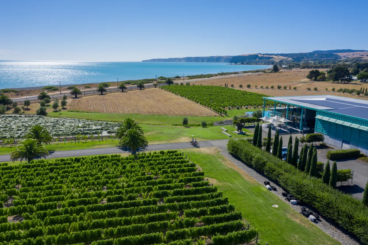 Hawke's Bay Trails - Elephant Hill winery driveway