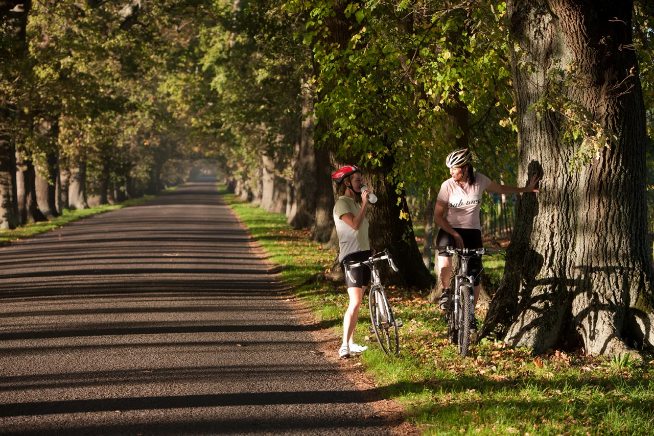 Cycling (4)