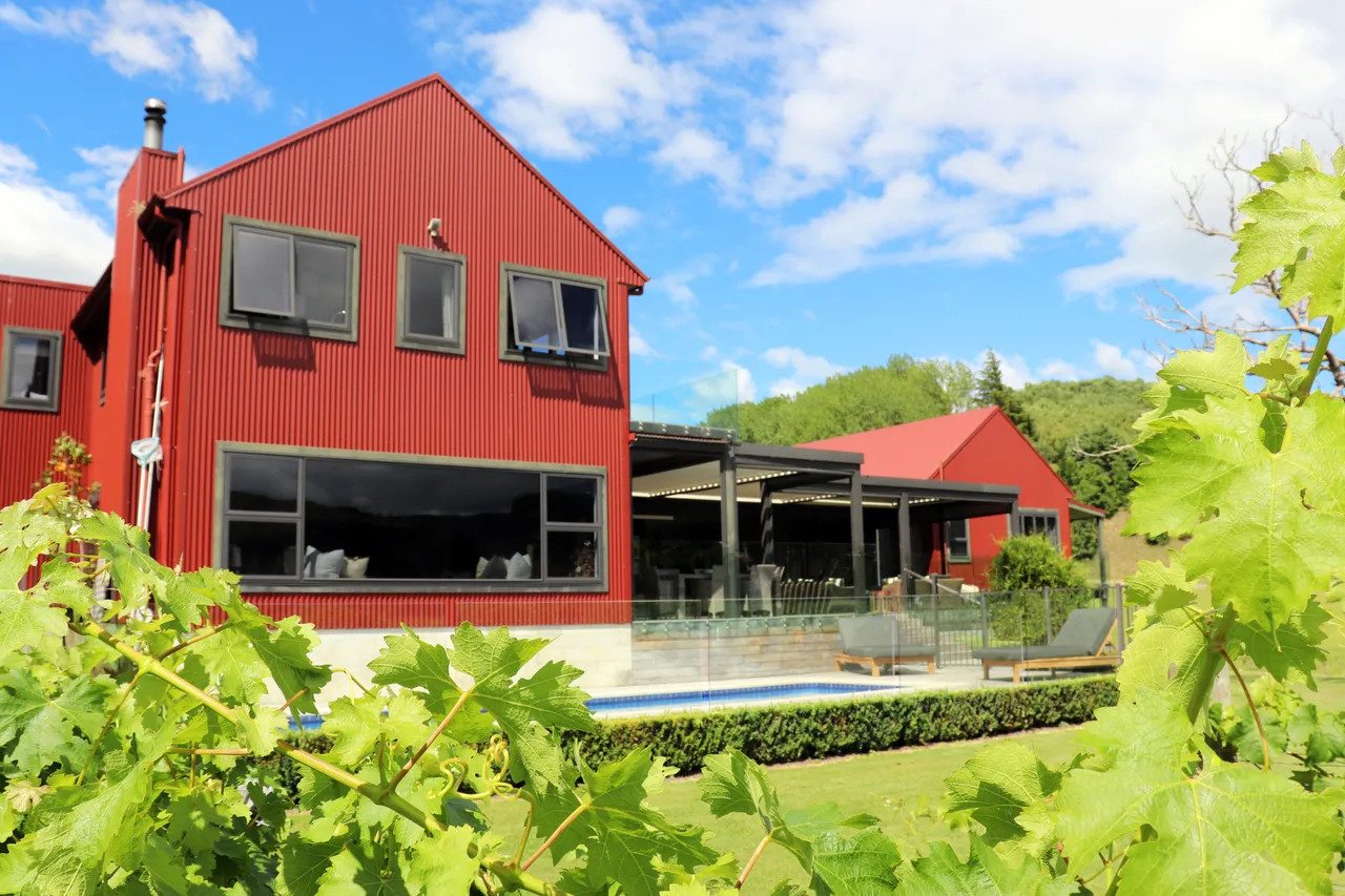 Kiwiesque Outside Pool & Vines