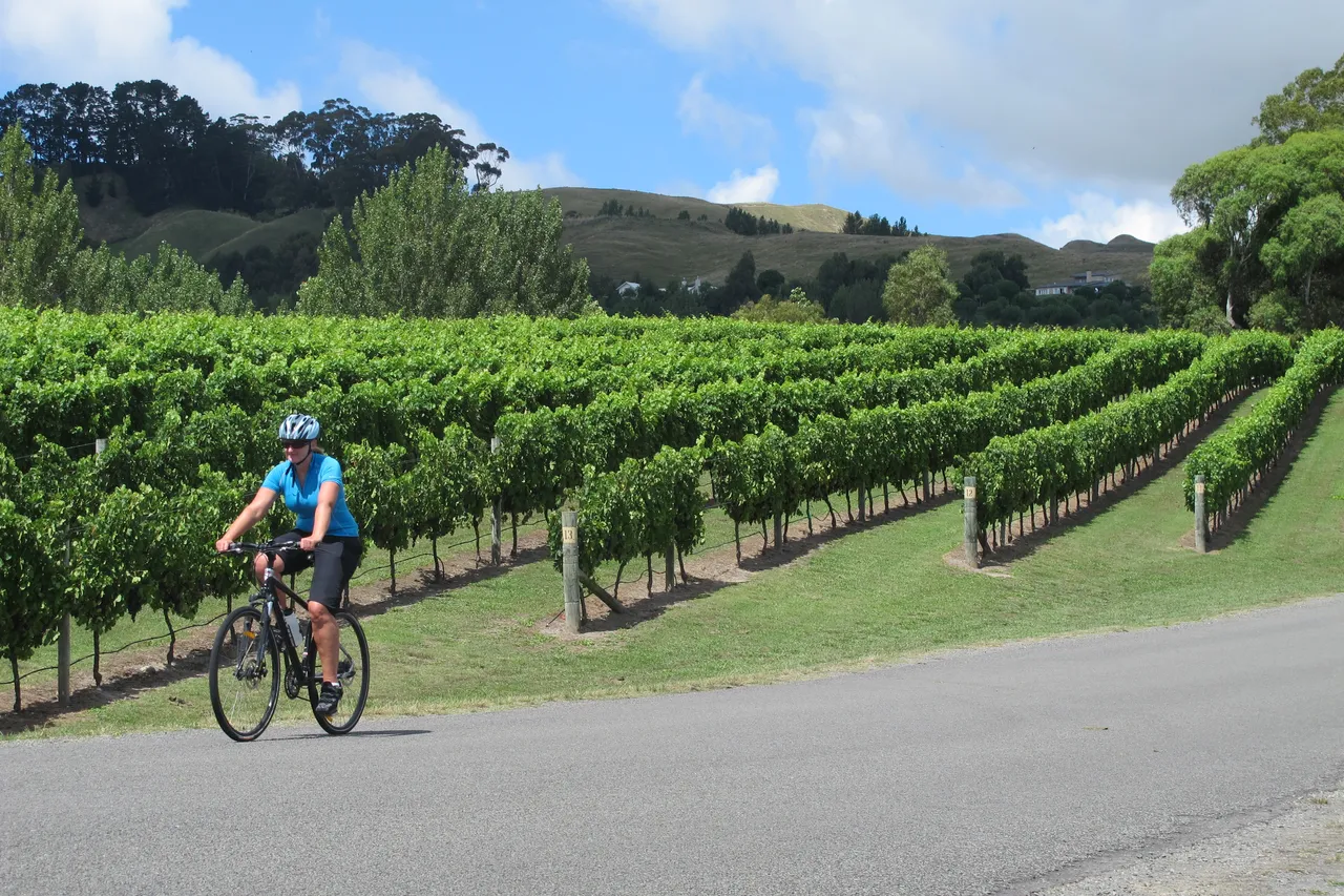 Cycling (5)