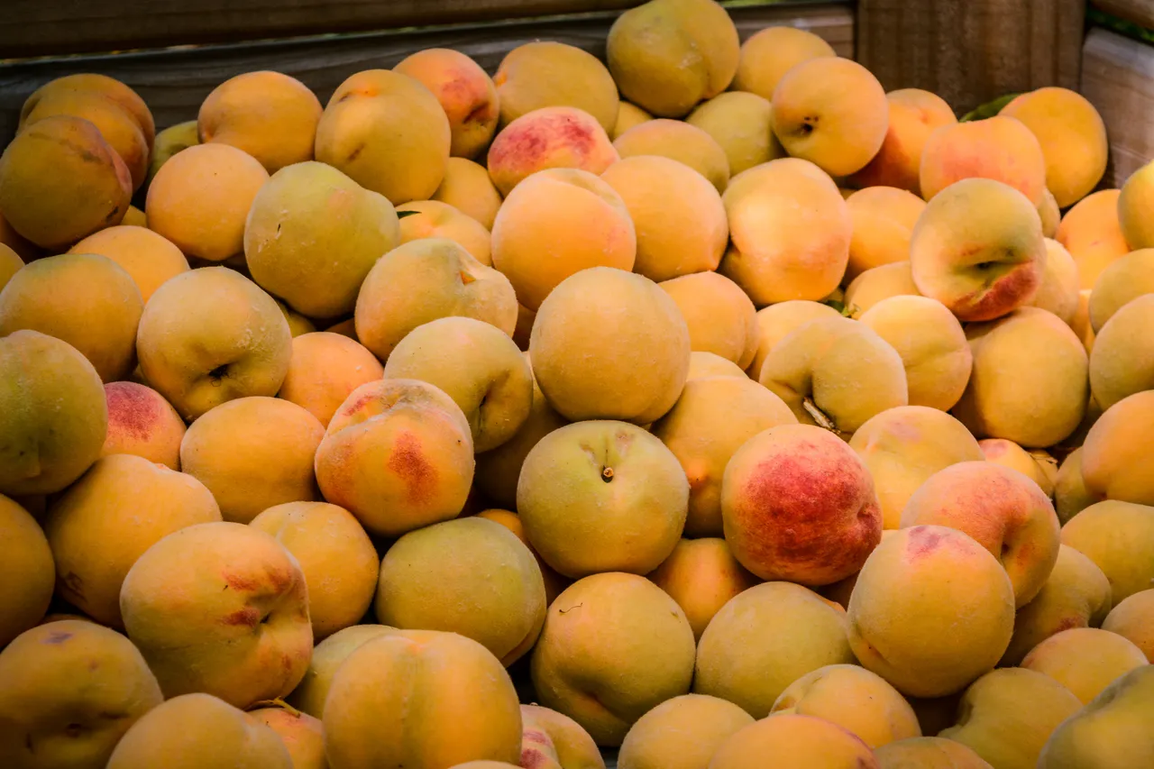 Hawkes Bay peaches Jan 2021 14