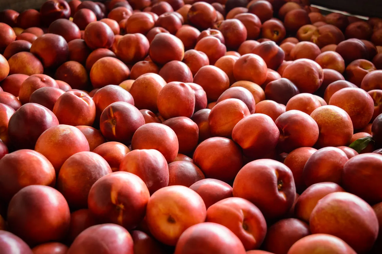 Hawkes Bay nectarines Jan 2021-38