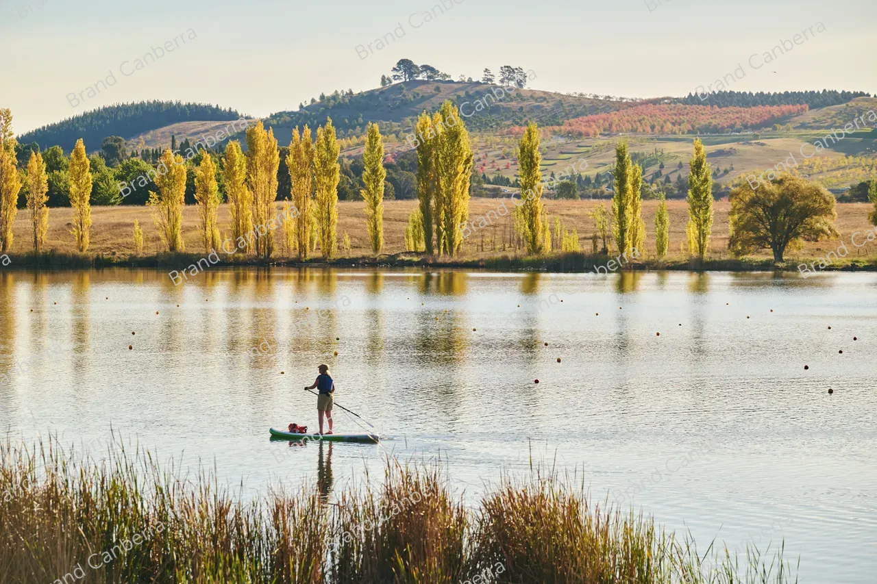 Autumn trees around Lake Burley Griffin seen from Weston Park (5)