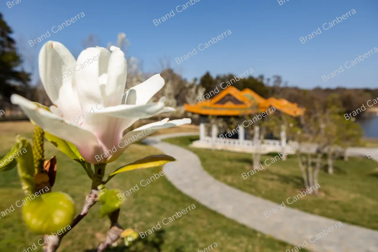 The Beijing Garden in Lennox Gardens on Canberra's Lake Burley Griffin (2)