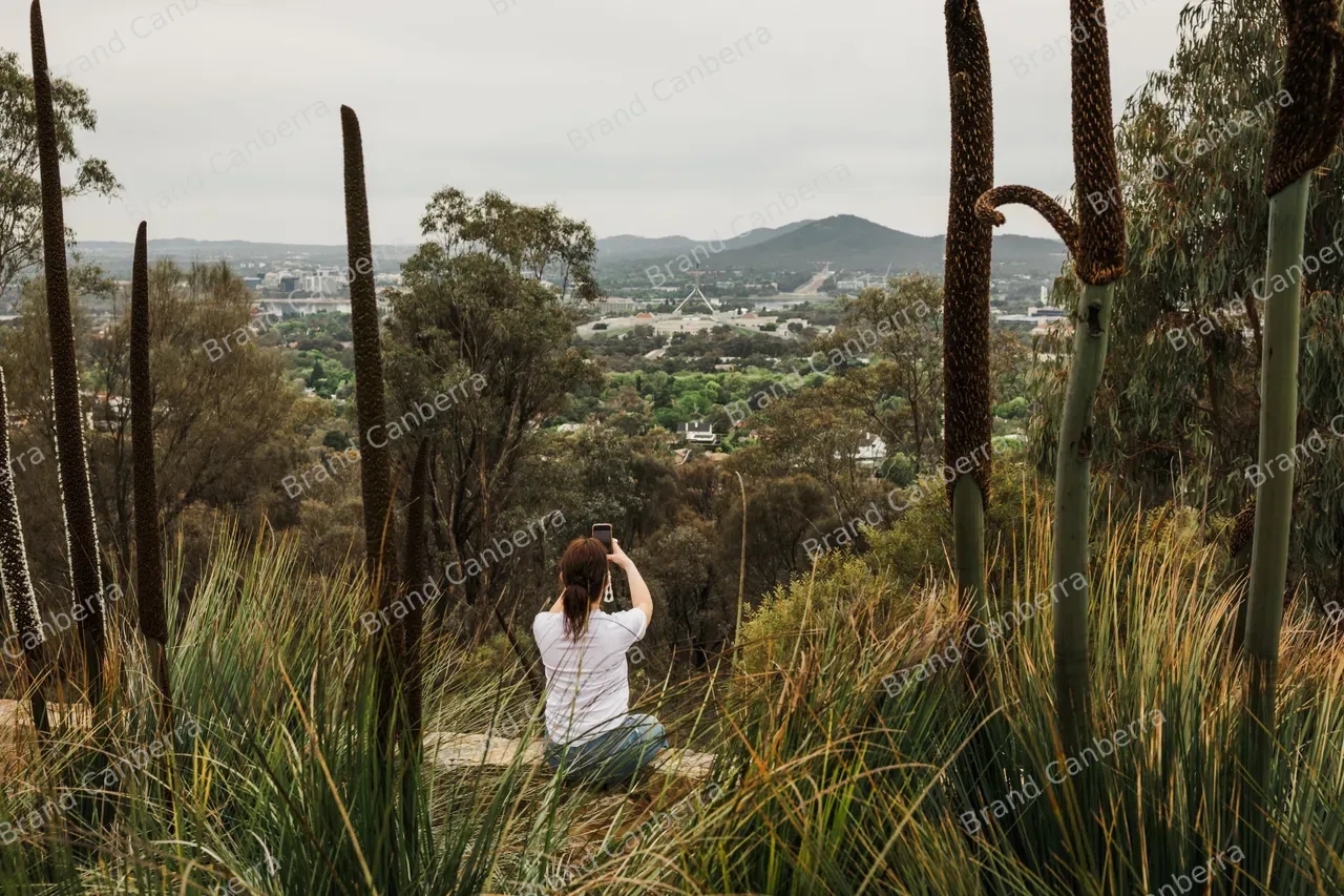 Red Hill Lookout (03)