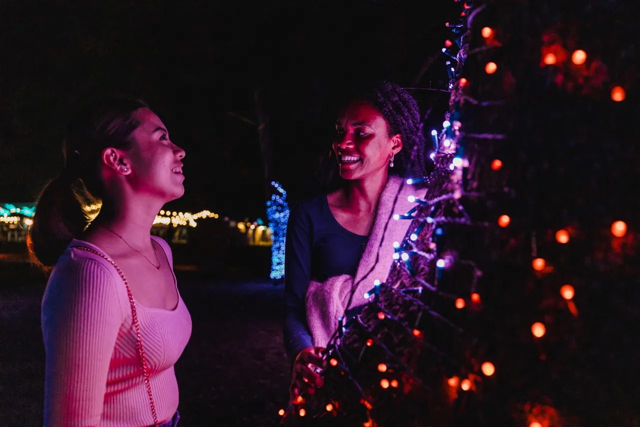 2024 Enlighten Festival