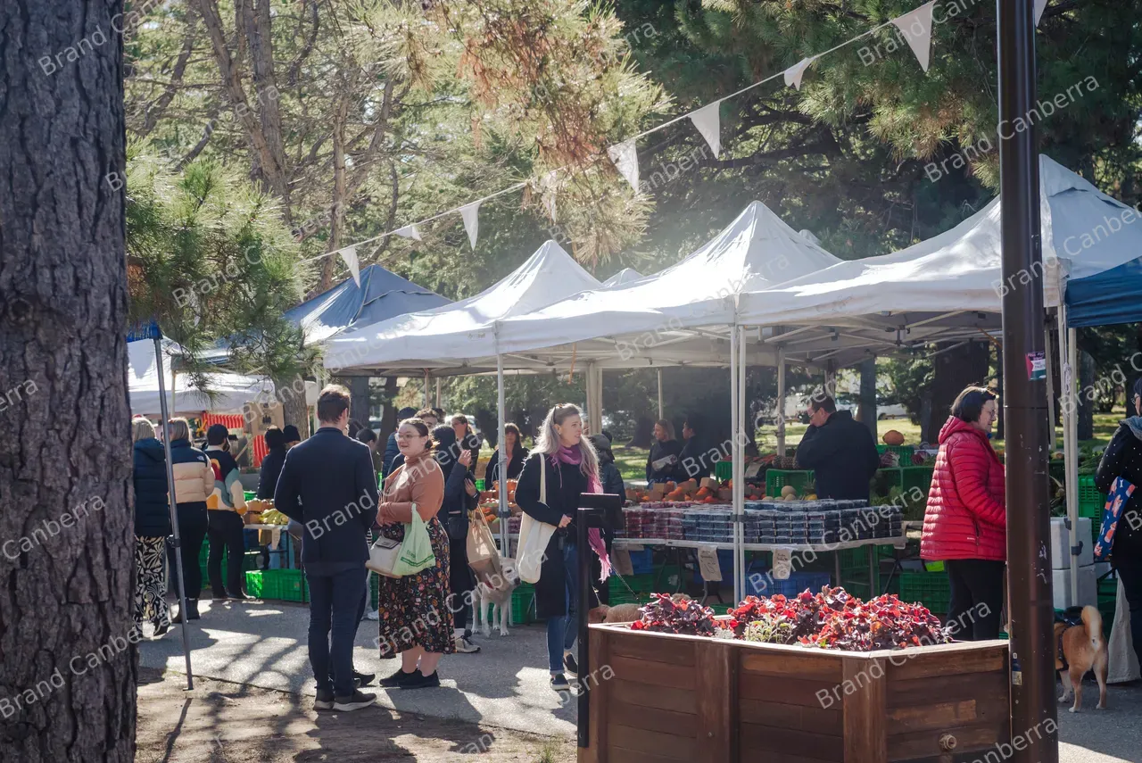 Haig Park Village Markets in Braddon (15)