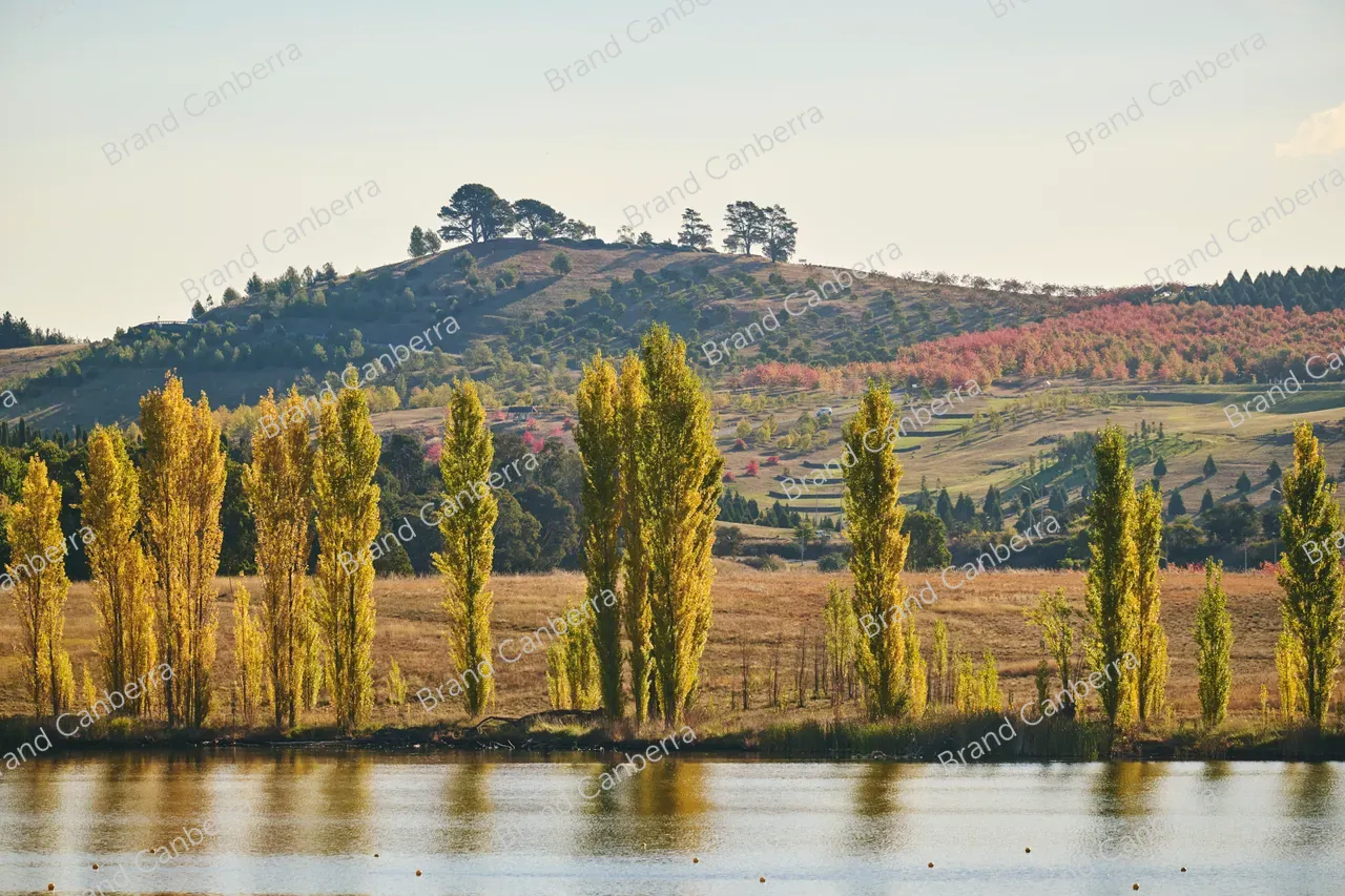 Autumn trees around Lake Burley Griffin seen from Weston Park (7)