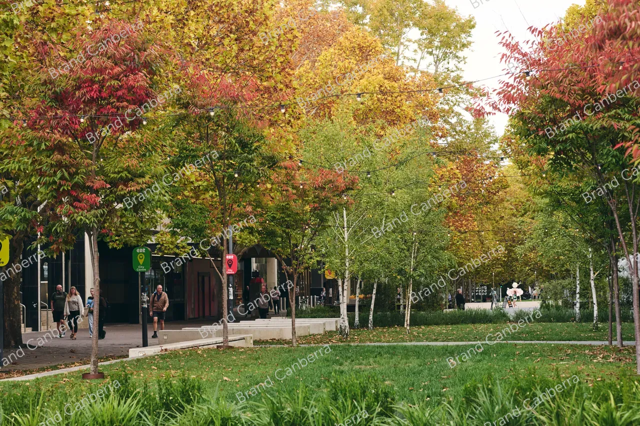 City Walk in Autumn (1)