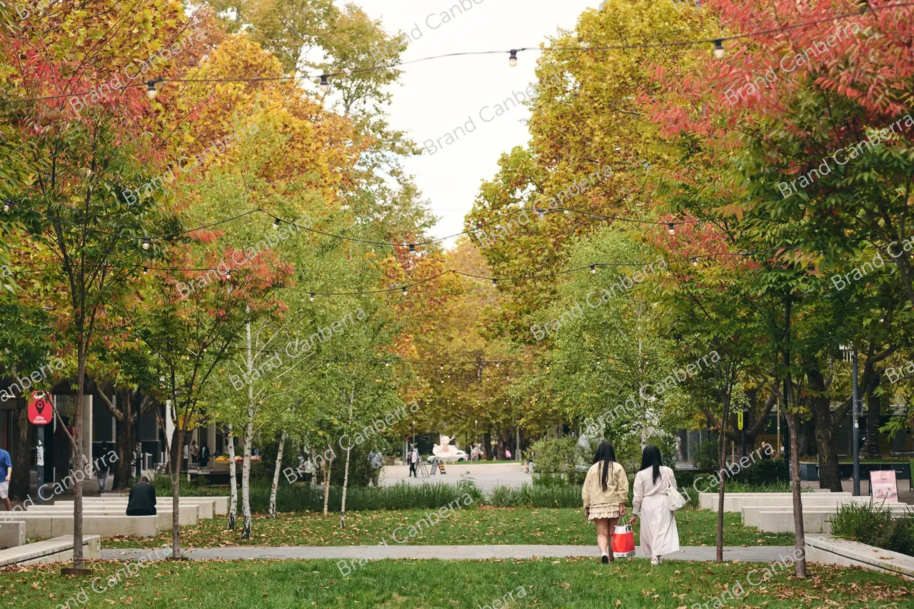 City Walk in Autumn (3)