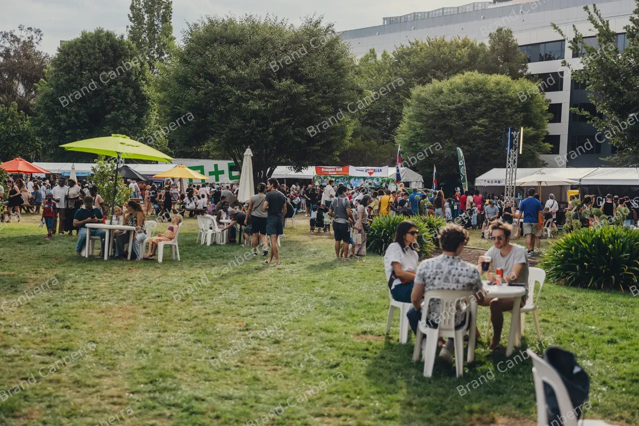 Crowds at National Multicultural Festival (12)