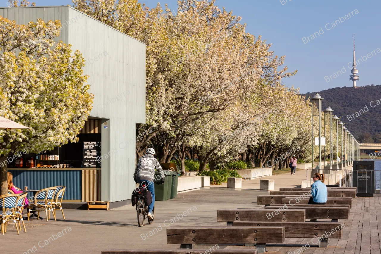 Spring blossoms around Canberra's Lake Burley Griffin (32)