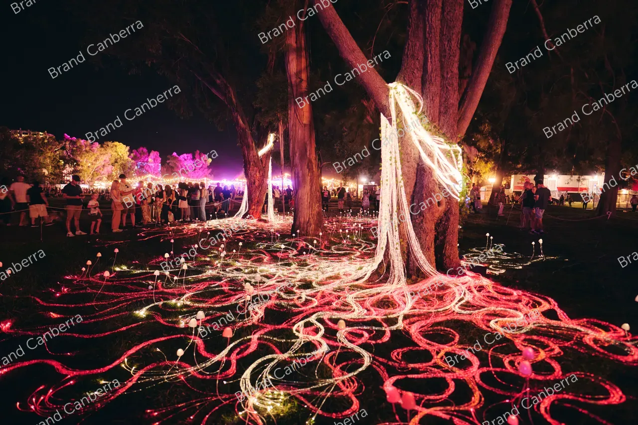 Mycelium Network installation by Custom Fibre Optics at Enlighten Festival (2)