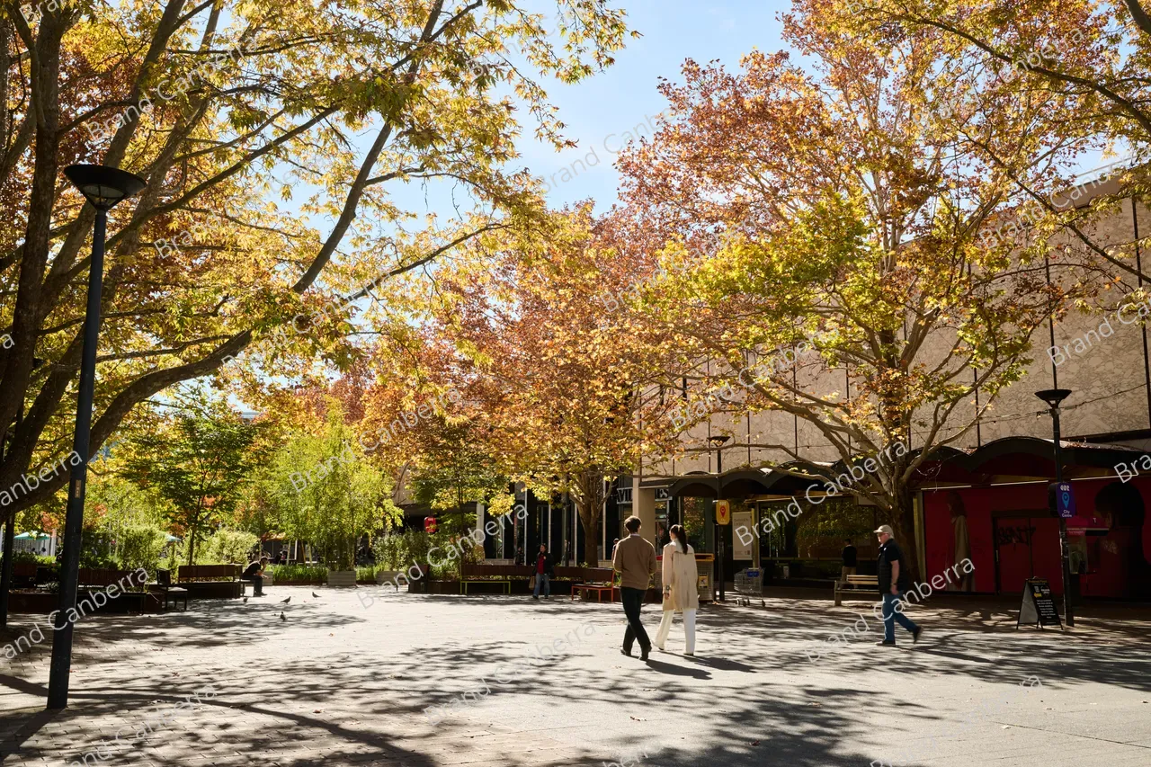 City Walk in Autumn (4)