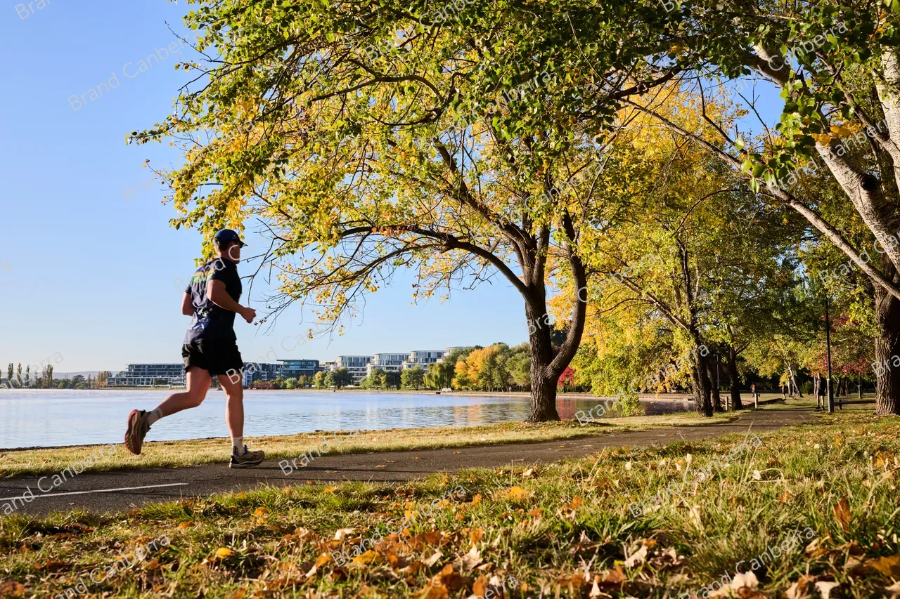 Autumn trees around Lake Burley Griffin seen from Bowen Park (3)