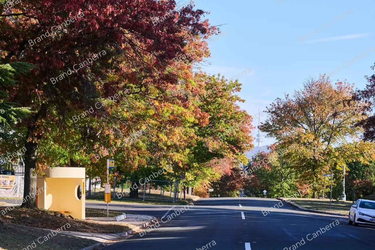 Autumn streets in the inner south, Stuart St Griffith (3)