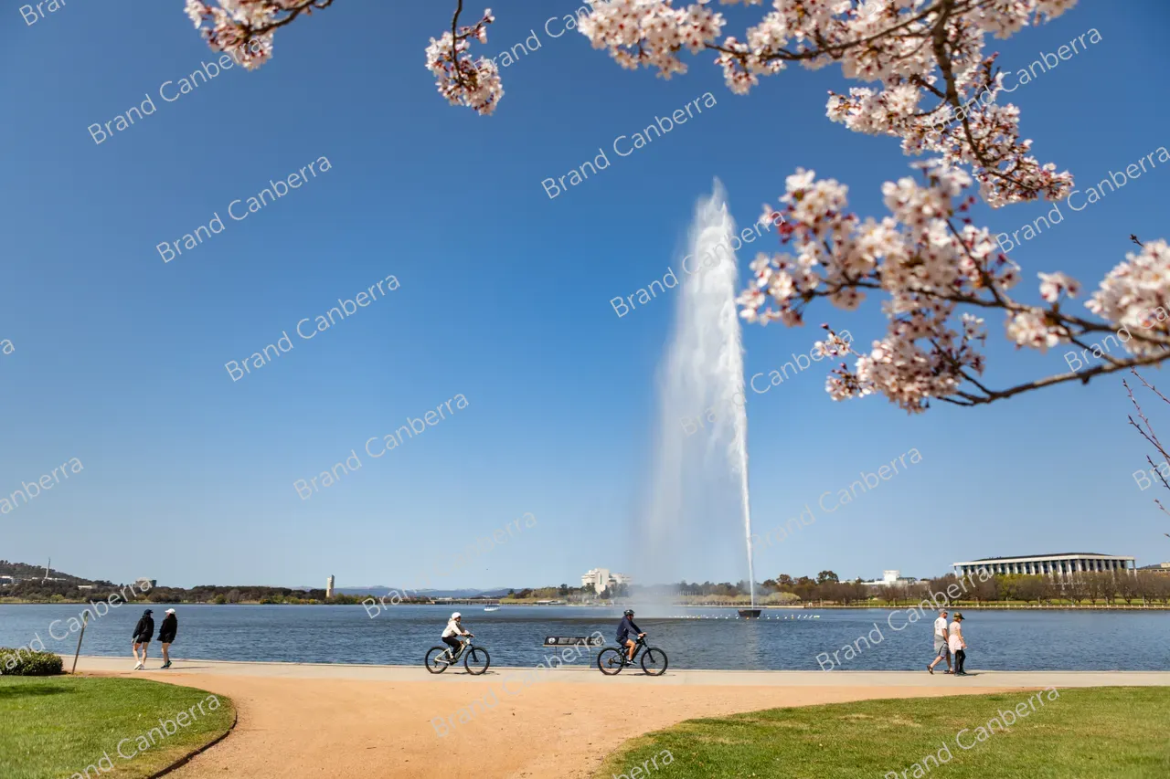 Spring blossoms around Canberra's Lake Burley Griffin (48)