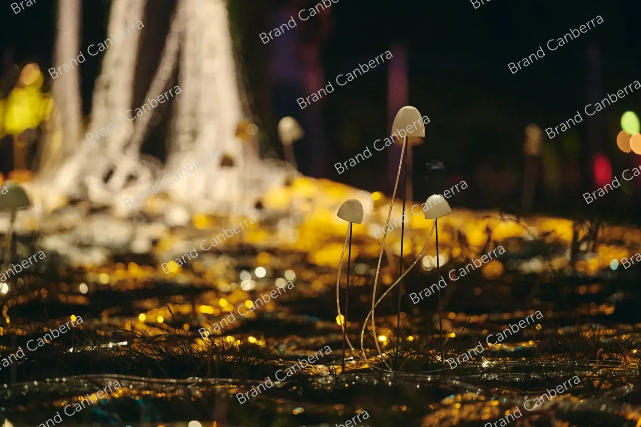 Mycelium Network installation by Custom Fibre Optics at Enlighten Festival (3)