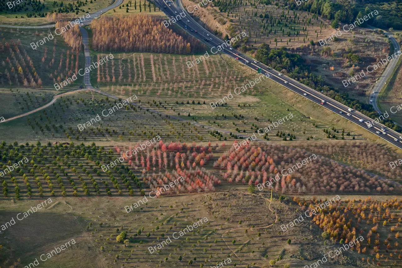 An aerial view over the National Arboretum in Canberra in late Autumn (4)