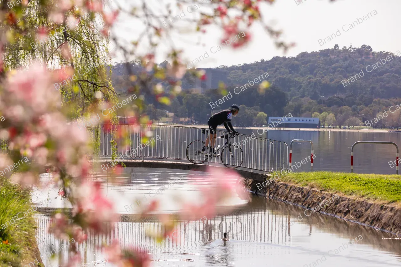 Spring blossoms in Canberra's Bowen Park, Kingston (2)