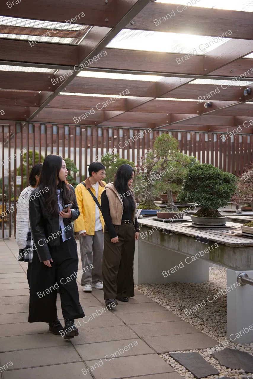 20260625_ACTGOV_0122_Vietnamese-Students-National Bonsai Collection-Arboretum