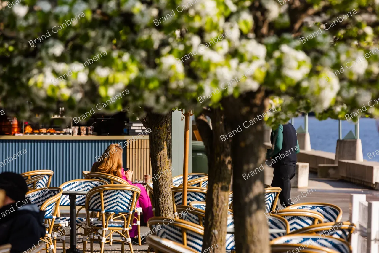 Spring blossoms around Canberra's Lake Burley Griffin (27)