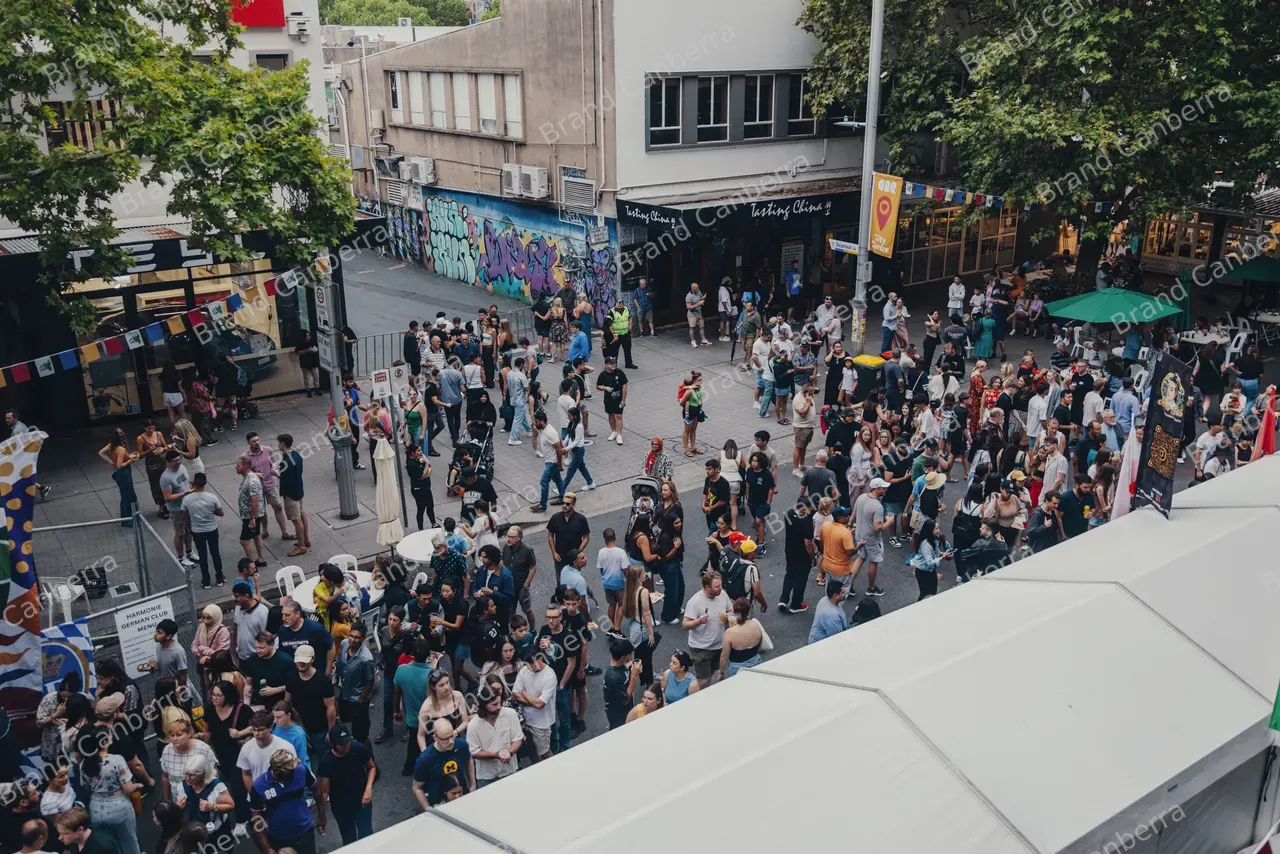 Crowds at National Multicultural Festival (14)