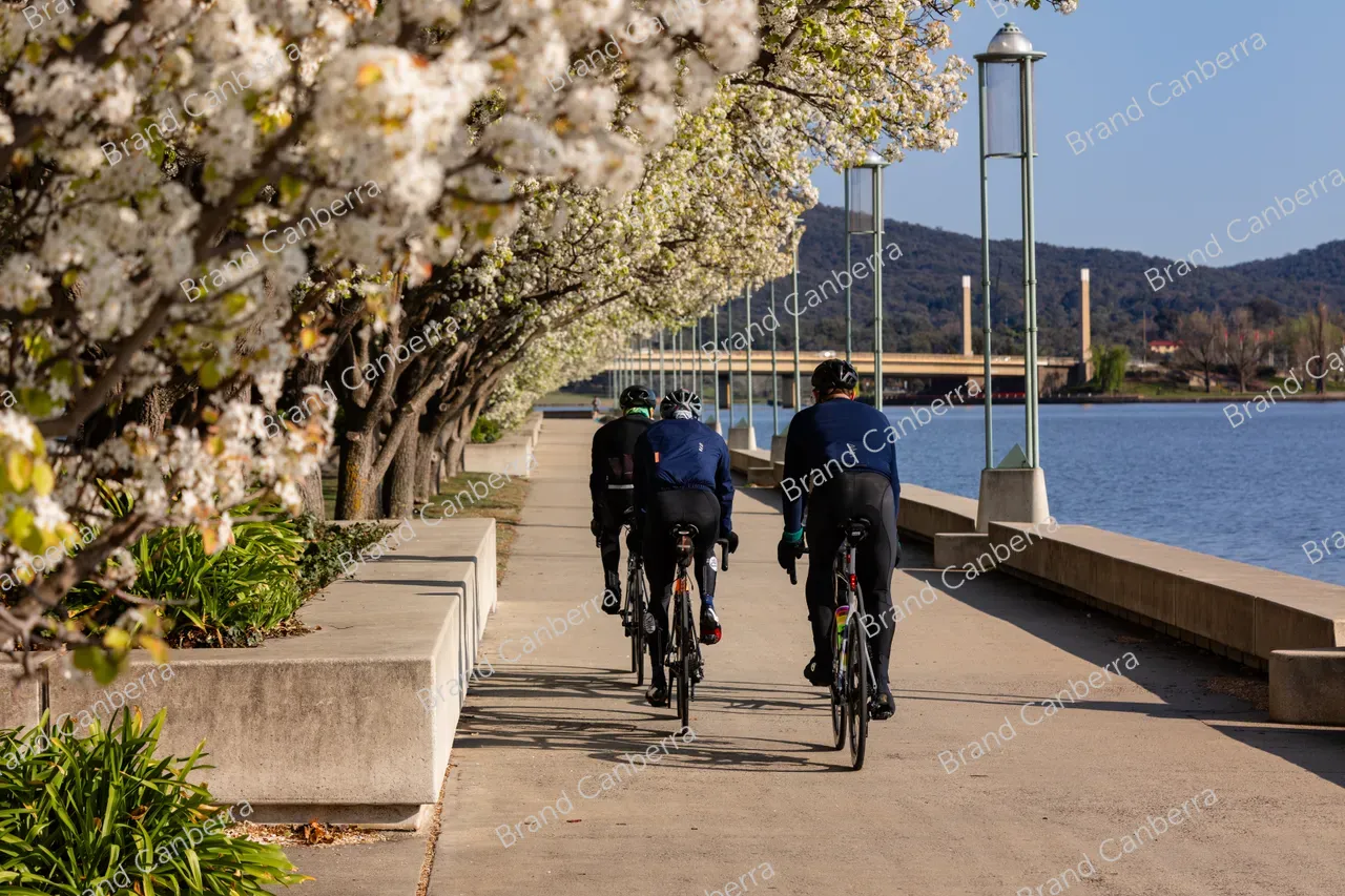 Spring blossoms around Canberra's Lake Burley Griffin (18)
