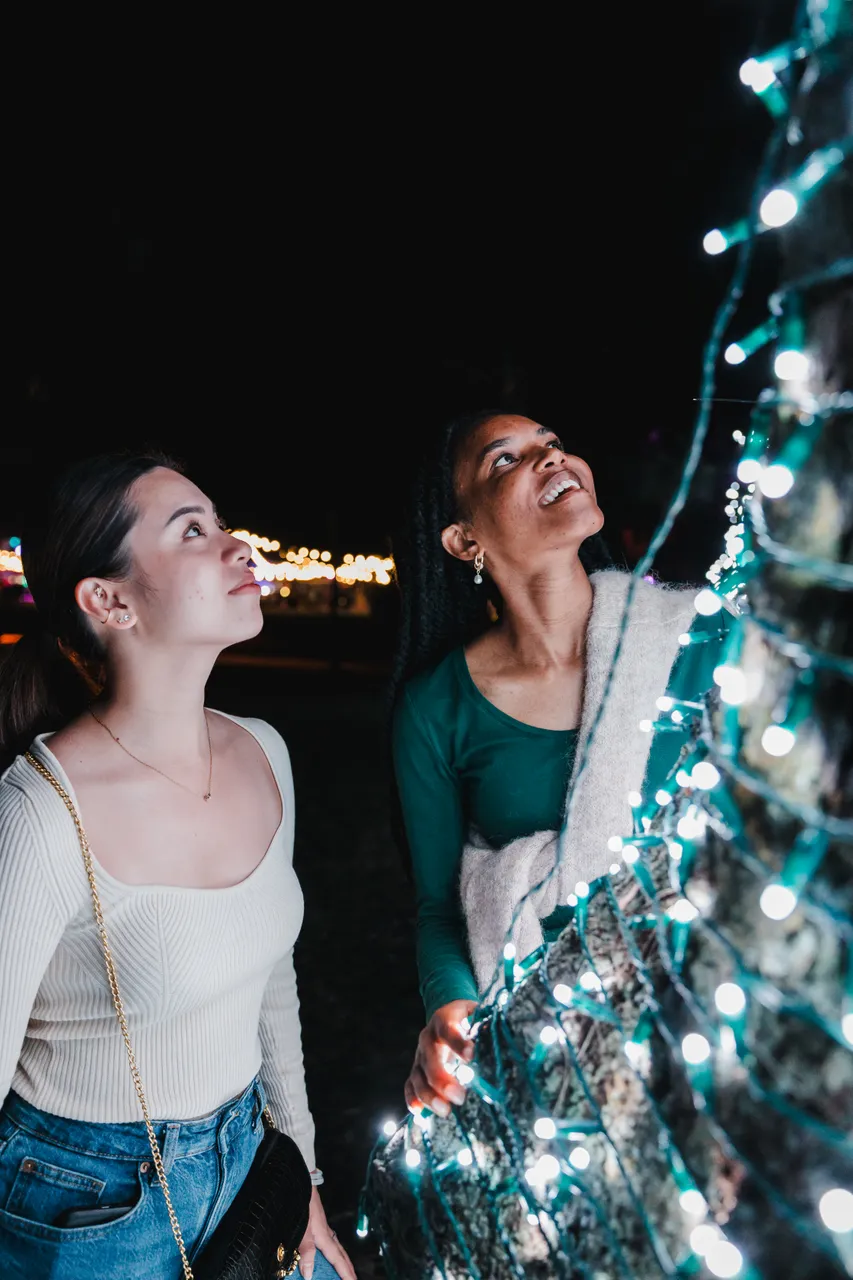 2024 Enlighten Festival